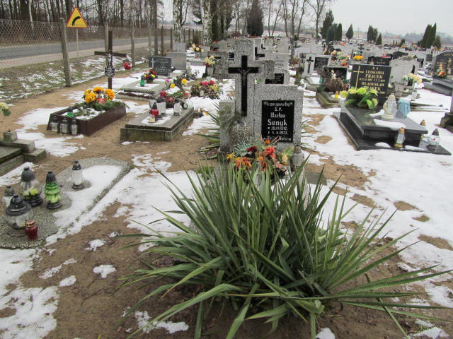 Wacław Senyk 1912 Zbąszyń - Grobonet - Wyszukiwarka osób pochowanych