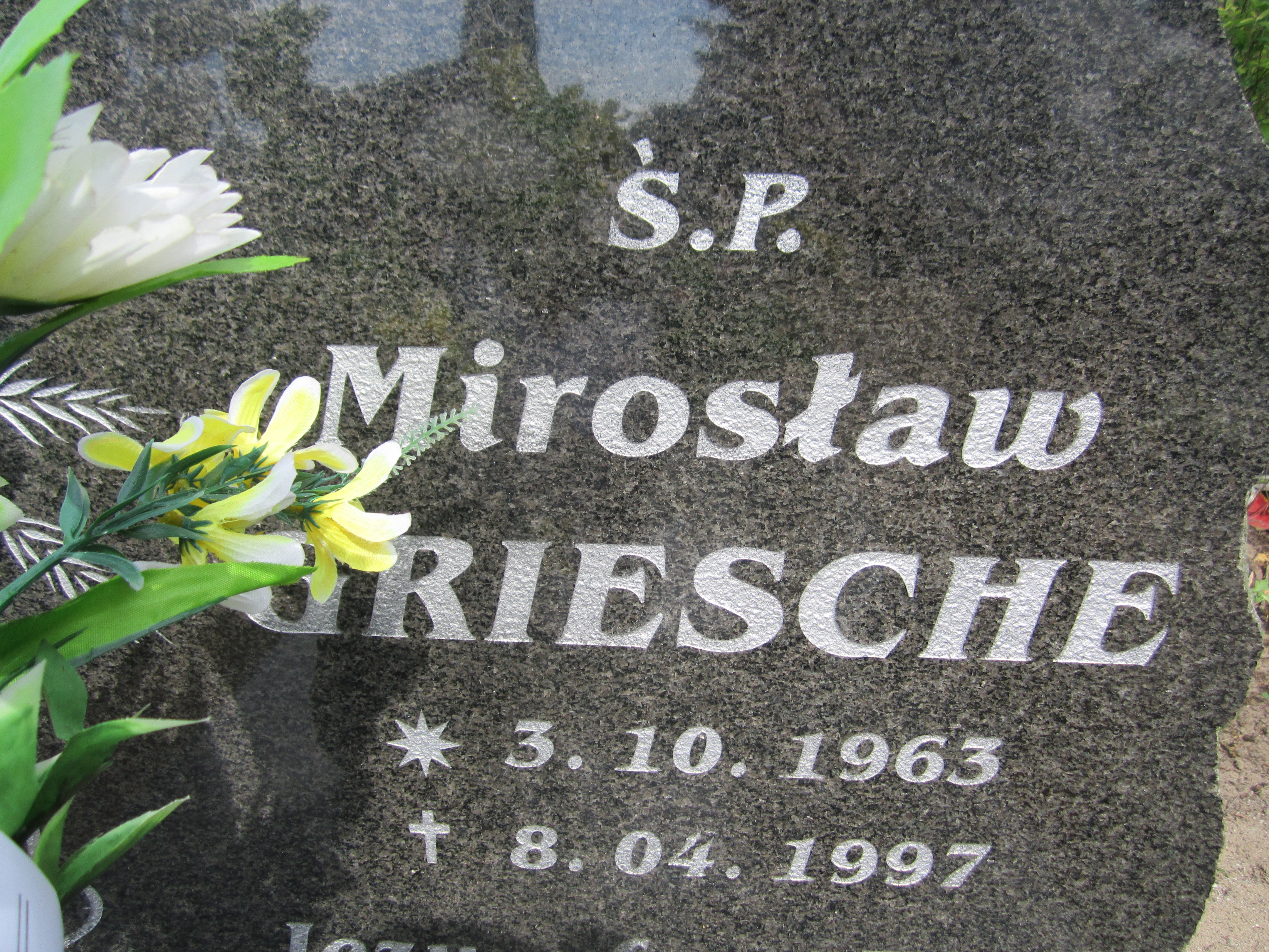 Daniel Griesche 1990 Zbąszyń - Grobonet - Wyszukiwarka osób pochowanych