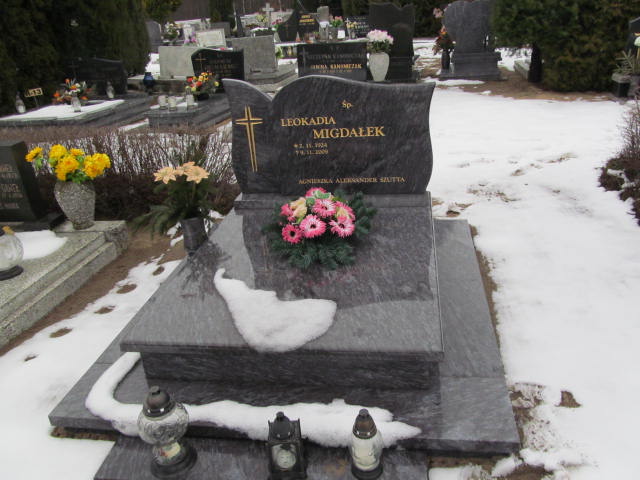 Grób Alfons Migdałem